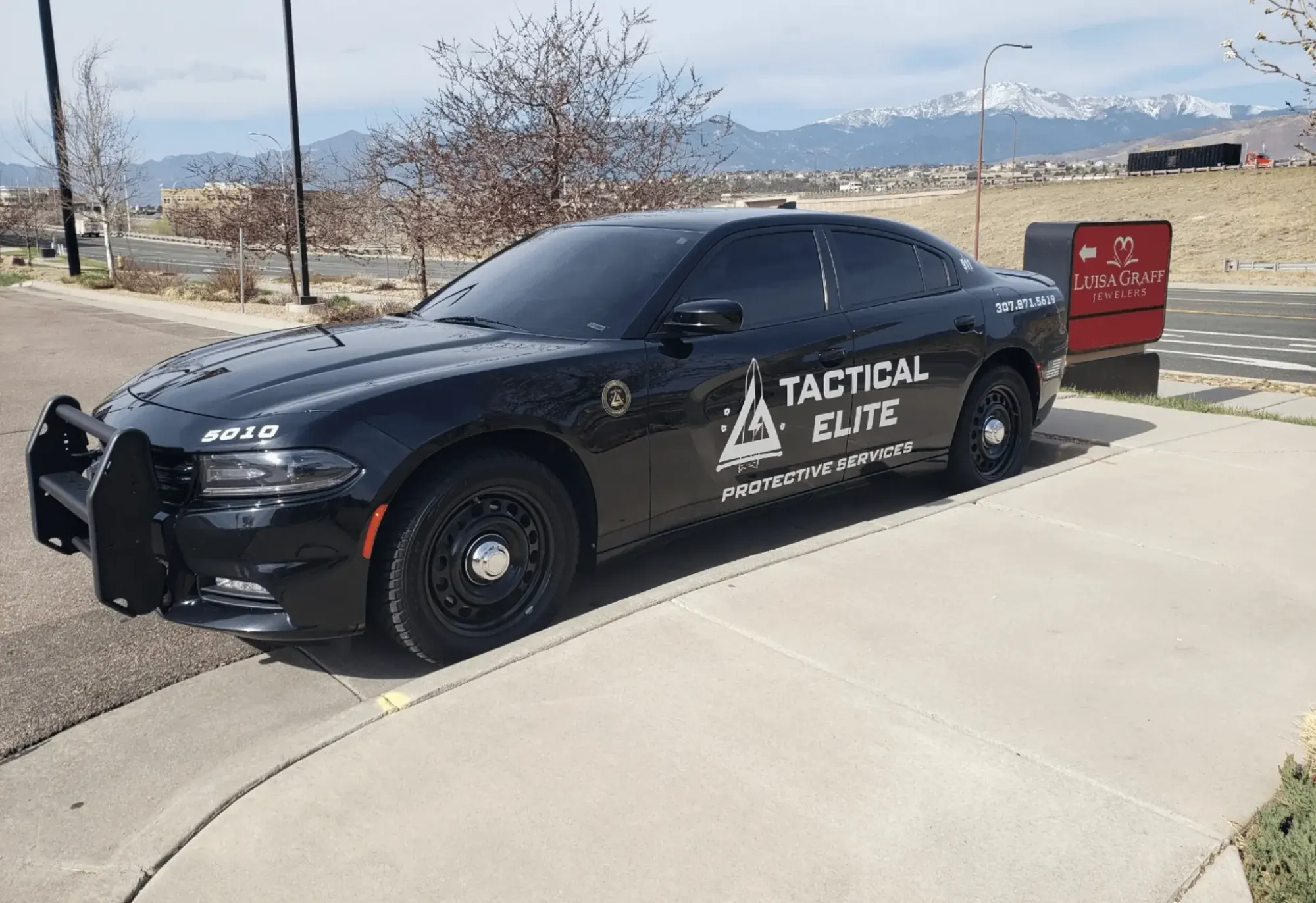 Marked Tactical Elite Protective Services patrol car parked at a commercial site with mountains behind